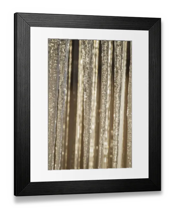 Framed Print : USA, Alaska, Fairbanks. Sun reflects on icicles Framed Print : USA, Alaska, Fairbanks. Sun reflects on icicles