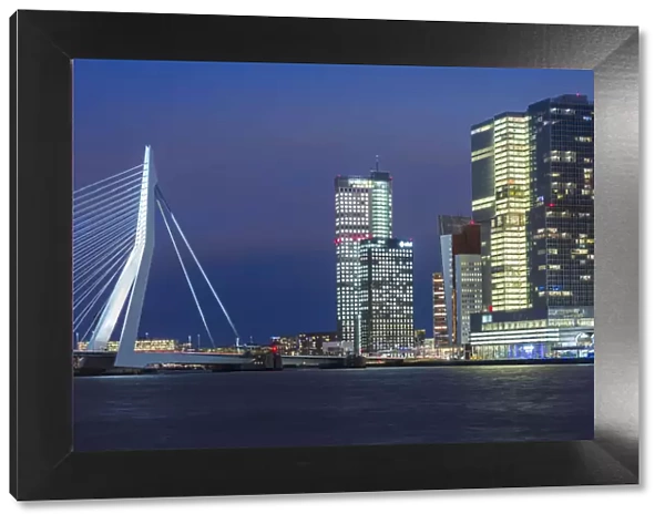 Netherlands, Rotterdam, Erasmusbrug bridge and new commerical towers at the renovated docklands