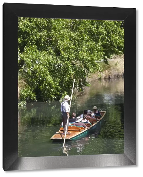 New Zealand, South Island, Christchurch, punting on the Avon River
