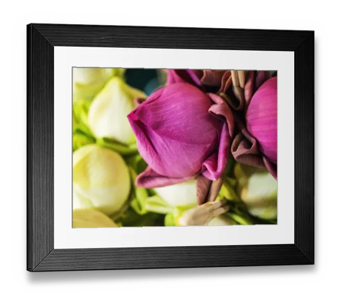 Framed Print : Southeast Asia; Thailand; Chiang Mai; Flowers at the Thai Market Place Framed Print : Southeast Asia; Thailand; Chiang Mai; Flowers at the Thai Market Place