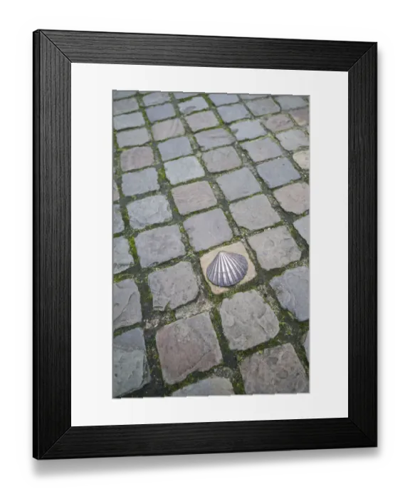 Framed Print : Belgium, Bruges, bronze seashell marking of the Camino de Santiago religious pilgrimage Framed Print : Belgium, Bruges, bronze seashell marking of the Camino de Santiago religious pilgrimage