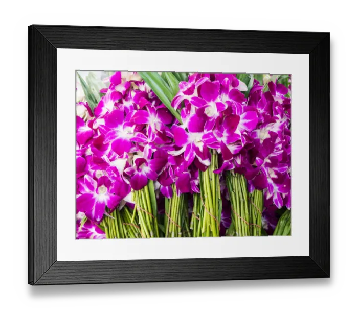 Framed Print : Southeast Asia; Thailand; Bangkok; kBangkok Street Flower Market Framed Print : Southeast Asia; Thailand; Bangkok; kBangkok Street Flower Market