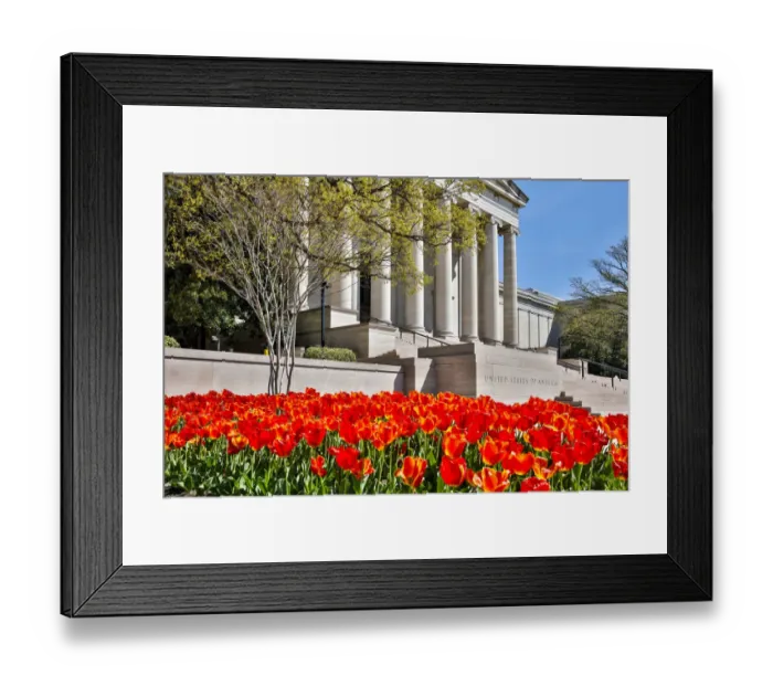 Framed Print : USA, Washington, DC, National Gallery of Art West Building in Springtime Framed Print : USA, Washington, DC, National Gallery of Art West Building in Springtime