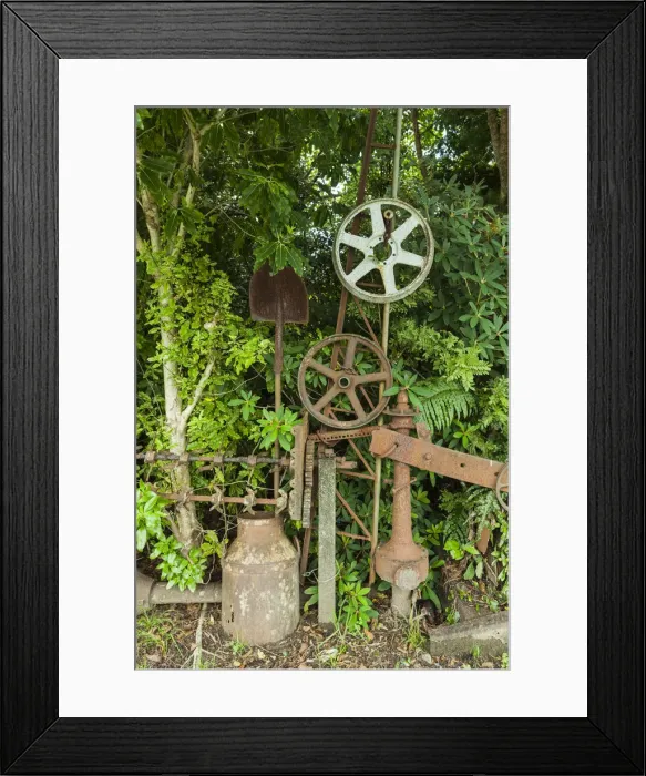 Framed Print : New Zealand, South Island, West Coast, Ross, Ross Goldfields Heritage Centre, street Framed Print : New Zealand, South Island, West Coast, Ross, Ross Goldfields Heritage Centre, street