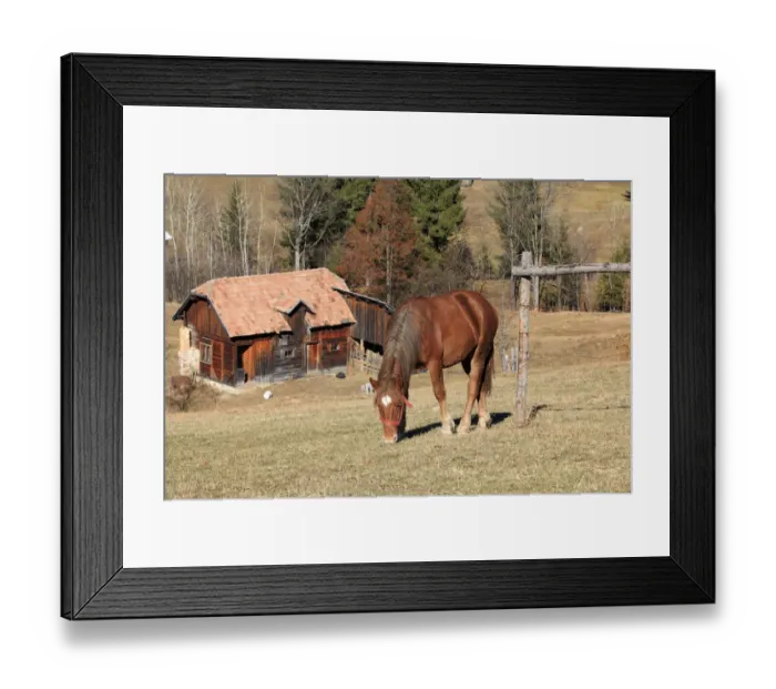 Framed Print : Europe, Romania, Transylvania, Carpathian Mountains, Piatra Craiului National Park. Horse Framed Print : Europe, Romania, Transylvania, Carpathian Mountains, Piatra Craiului National Park. Horse