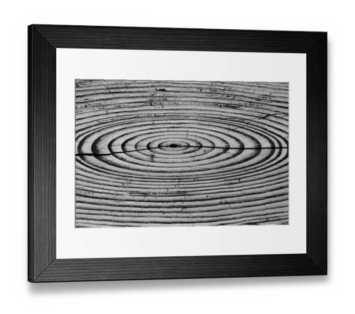 Framed Print : USA, Alaska. Wood grain pattern. Credit as: Don Paulson / Jaynes Gallery / DanitaDelimont Framed Print : USA, Alaska. Wood grain pattern. Credit as: Don Paulson / Jaynes Gallery / DanitaDelimont