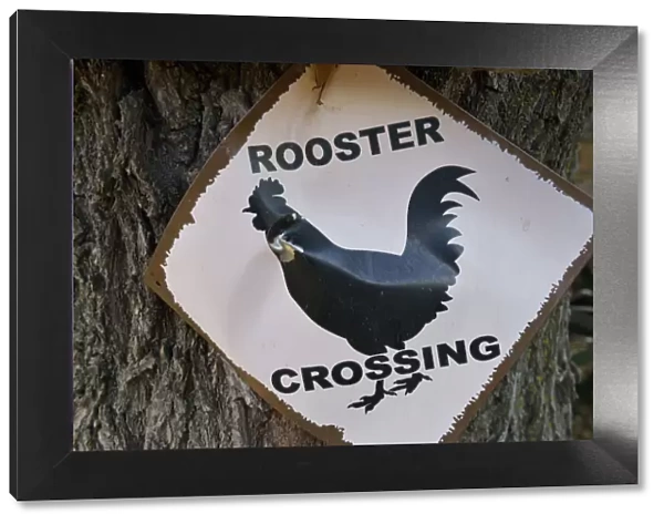USA, Arizona, Jerome, Rooster Crossing sign, Gold King Mine
