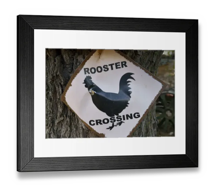 Framed Print : USA, Arizona, Jerome, Rooster Crossing sign, Gold King Mine Framed Print : USA, Arizona, Jerome, Rooster Crossing sign, Gold King Mine