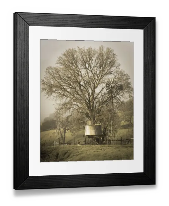 Framed Print : USA, California, Shell Creek Road. Windmill, water tank and oak tree Framed Print : USA, California, Shell Creek Road. Windmill, water tank and oak tree