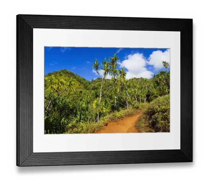 Framed Print : Lush vegitation along the Kalalau Trail on the Na Pali Coast, Island of Kauai, Hawaii USA Framed Print : Lush vegitation along the Kalalau Trail on the Na Pali Coast, Island of Kauai, Hawaii USA