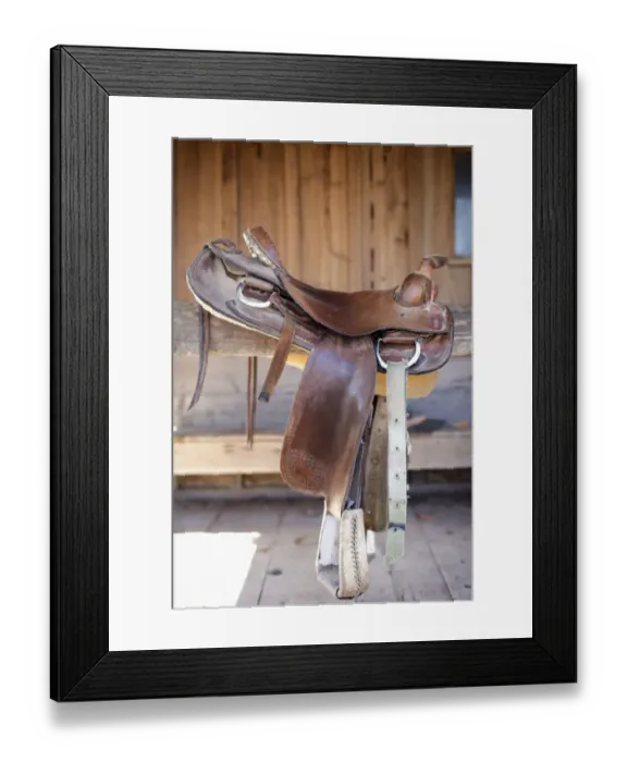 Framed Print : Full view of a Saddle resting on the railing, Tucson, Arizona, United States Framed Print : Full view of a Saddle resting on the railing, Tucson, Arizona, United States