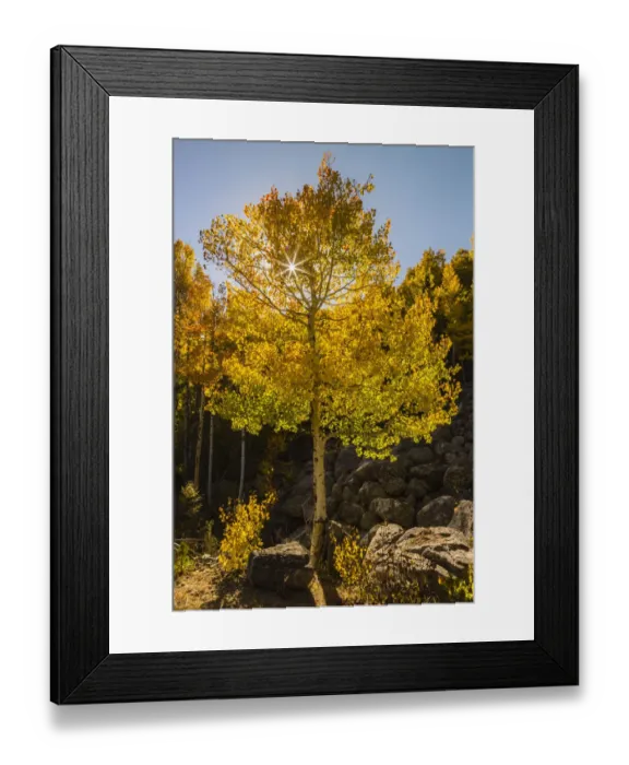 Framed Print : USA, Colorado, Rocky Mountain National Park Framed Print : USA, Colorado, Rocky Mountain National Park