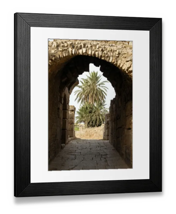 Framed Print : Entrance to the Theater, Roman ruins of Bulla Regia, Tunisia, North Africa