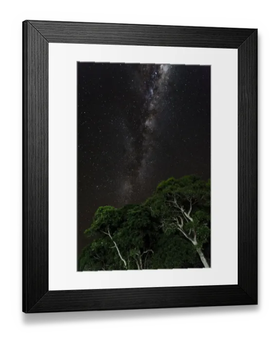 Framed Print : Light painted tree in the foreground with the Milky Way Galaxy in the background of this night photograph taken in the Brazilian Pantanal