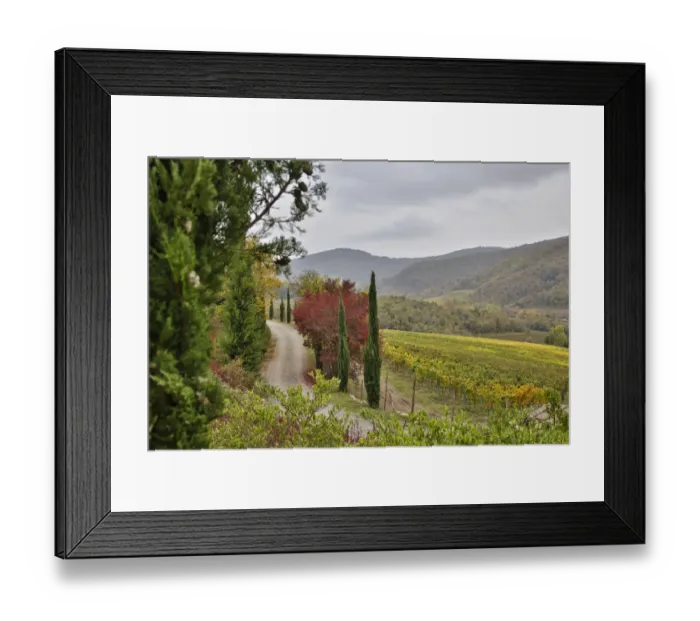 Framed Print : Italy, Radda in Chianti, Tuscany, A Path to the Hills, Villa Campomaggio