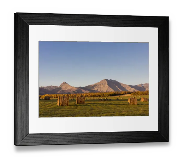 Framed Print : Hay bales and aspen groves in autumn along the Front Range of the Rocky Mountains