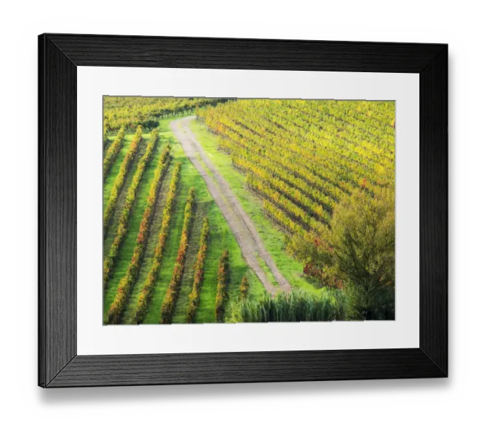 Framed Print : Europe; Italy Montepulciano; Road through Autumn Vinyards in full color near Framed Print : Europe; Italy Montepulciano; Road through Autumn Vinyards in full color near