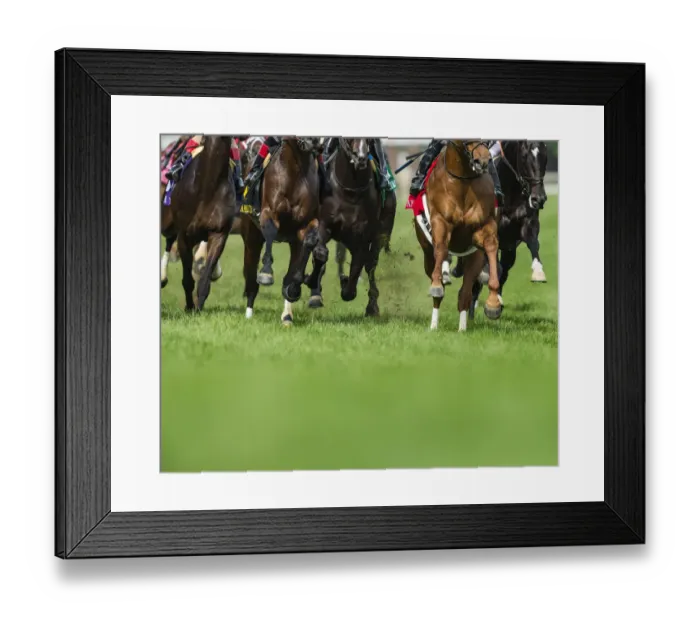 Framed Print : Grass turf horse racing