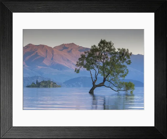 Framed Print : New Zealand, South Island, Otago, Wanaka, Lake Wanaka, solitary tree, dawn Framed Print : New Zealand, South Island, Otago, Wanaka, Lake Wanaka, solitary tree, dawn