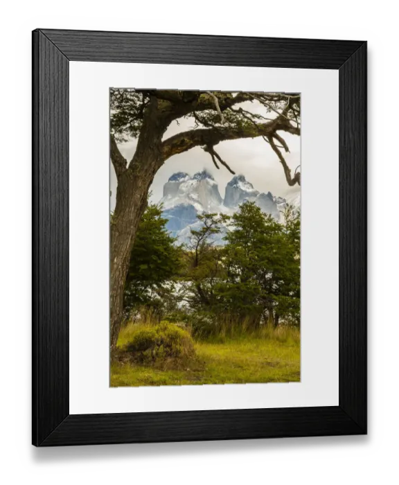 Framed Print : South America, Chile, Patagonia. Lake Pehoe and The Horns mountains Framed Print : South America, Chile, Patagonia. Lake Pehoe and The Horns mountains