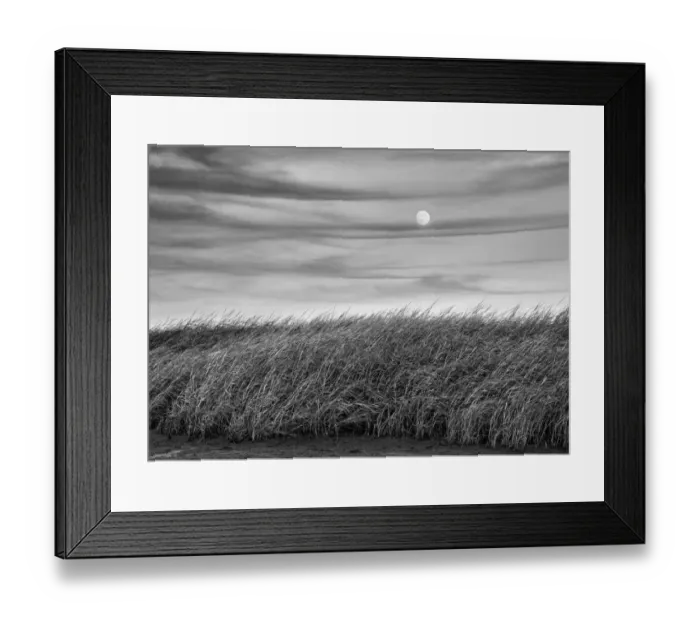Framed Print : USA, Massachusetts, Cape Cod, Full moon rising at First Encounter Beach Framed Print : USA, Massachusetts, Cape Cod, Full moon rising at First Encounter Beach