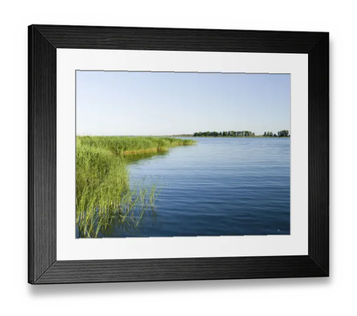 Framed Print : Shore of the Peenestrom in the Usedomer Schweiz on the island of Usedom. Europe Framed Print : Shore of the Peenestrom in the Usedomer Schweiz on the island of Usedom. Europe
