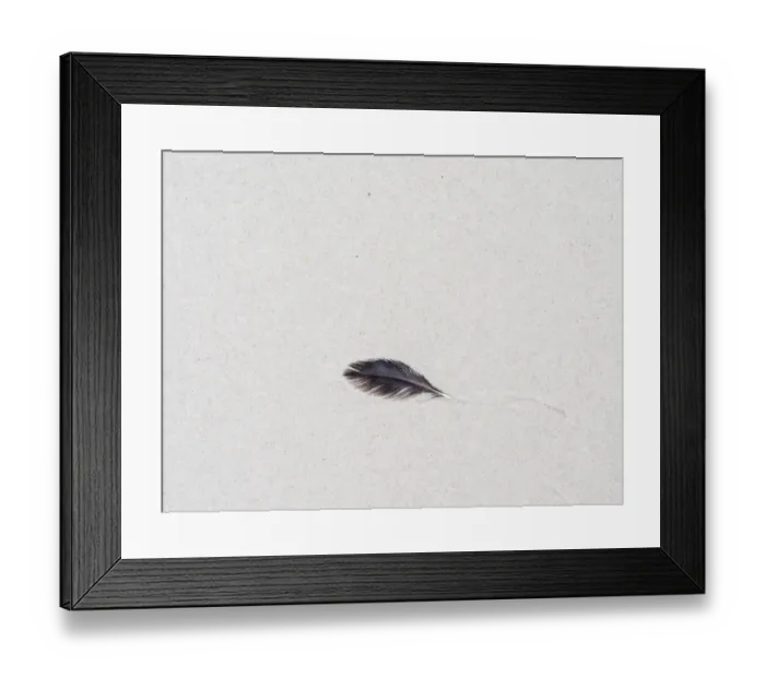 Framed Print : Deatails of beach on Saunders Island, South America, Falkland Islands Framed Print : Deatails of beach on Saunders Island, South America, Falkland Islands