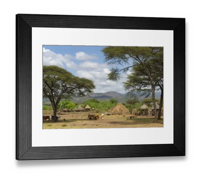 Framed Print : Traditional houses with thatched roof in the village, Konso, Ethiopia Framed Print : Traditional houses with thatched roof in the village, Konso, Ethiopia