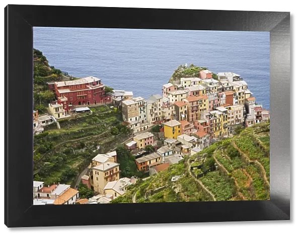 Europe, Italy, Manarola. Overview of town