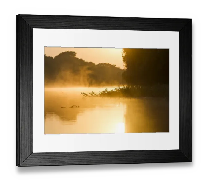 Framed Print : South America, Brazil, The Pantanal, Rio Cuiaba Framed Print : South America, Brazil, The Pantanal, Rio Cuiaba