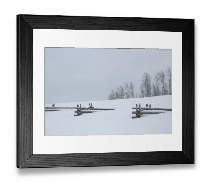 Framed Print : USA, Colorado, Uncompahgre National Forest. Fence buried in deep snow. Credit as Framed Print : USA, Colorado, Uncompahgre National Forest. Fence buried in deep snow. Credit as