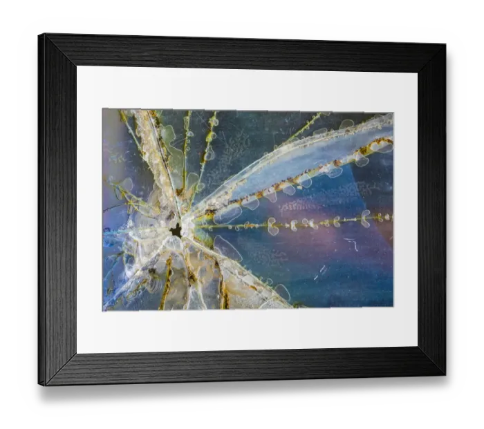 Framed Print : USA, Alaska. Cracked auto glass. Credit as: Don Paulson / Jaynes Gallery / DanitaDelimont Framed Print : USA, Alaska. Cracked auto glass. Credit as: Don Paulson / Jaynes Gallery / DanitaDelimont