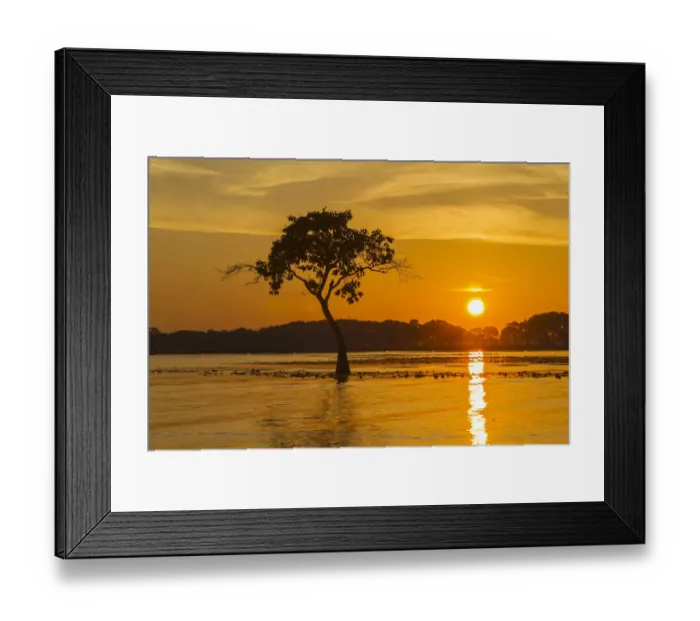Framed Print : USA, Louisiana. Sunrise on Millers Lake Framed Print : USA, Louisiana. Sunrise on Millers Lake