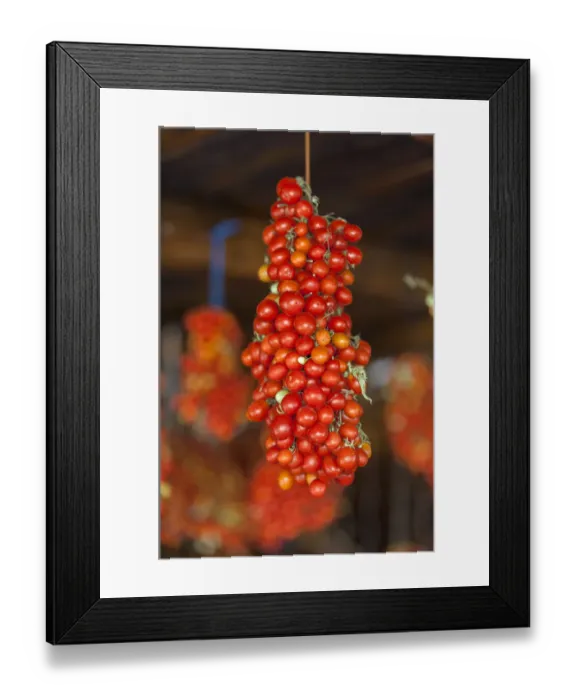 Framed Print : Hanging grape tomatoes, Tenuta Tannoja, Andria, Italy, Europe Framed Print : Hanging grape tomatoes, Tenuta Tannoja, Andria, Italy, Europe