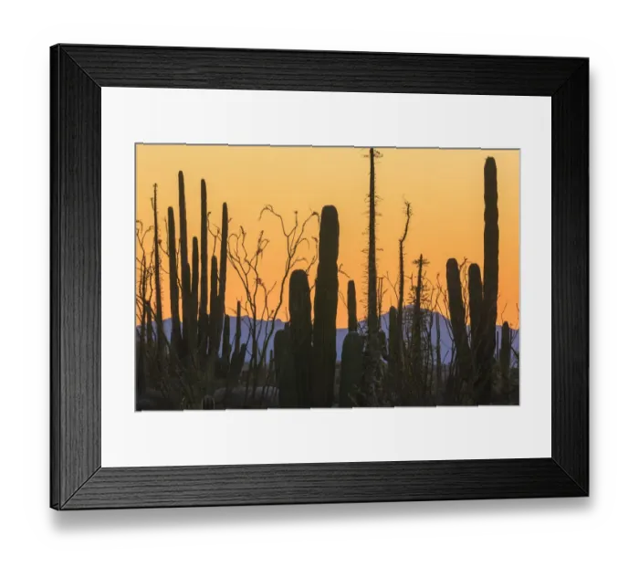 Framed Print : Catavina Desert, Baja California, Mexico