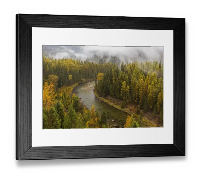 Framed Print : The Salmo River in autumn near Salmo, British Columbia, Canada Framed Print : The Salmo River in autumn near Salmo, British Columbia, Canada