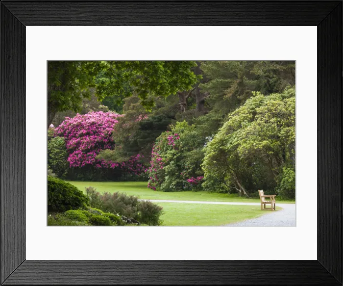 Framed Print : Ireland, County Kerry, Ring of Kerry, Killarney, Killarney National Park, gardens Framed Print : Ireland, County Kerry, Ring of Kerry, Killarney, Killarney National Park, gardens