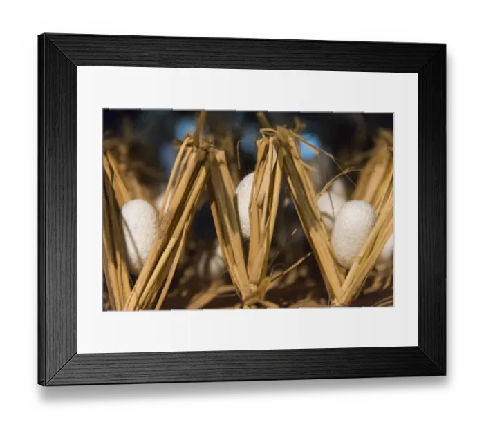 Framed Print : Raising silkworms in the attic of a Gassho-zukuri house, Ainokura Village, Gokayama