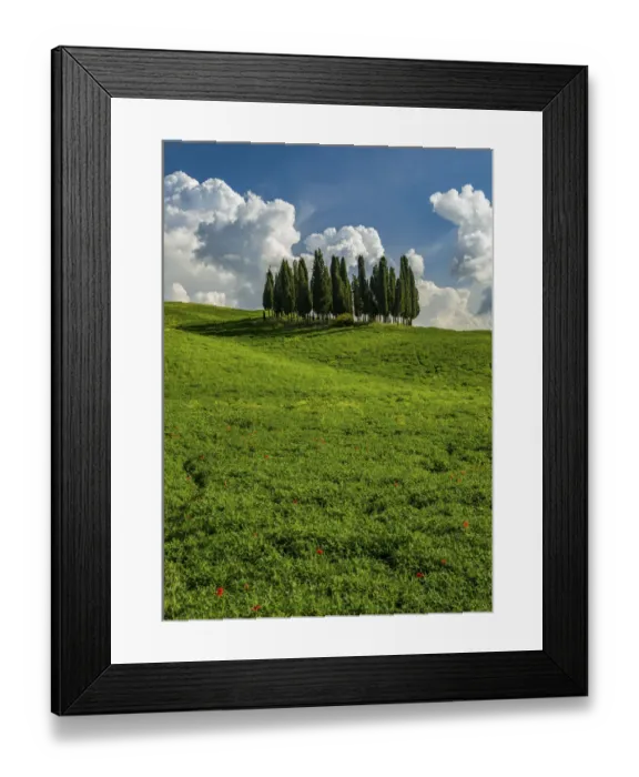 Framed Print : Italy, Tuscany, Pines, Hillside Framed Print : Italy, Tuscany, Pines, Hillside