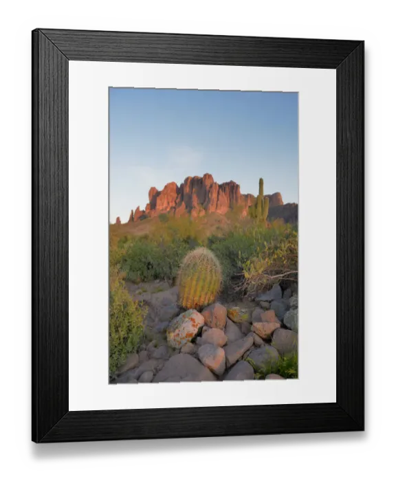 Framed Print : USA, Arizona, Lost Dutchman State Park, Barrel Cactus in front of the Superstition