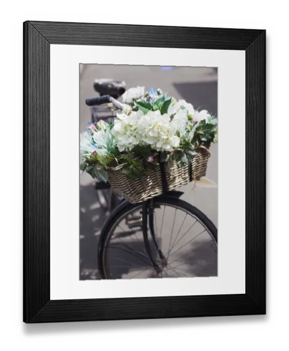 Framed Print : New Zealand, North Island, Martinborough, bicycle with flowers Framed Print : New Zealand, North Island, Martinborough, bicycle with flowers