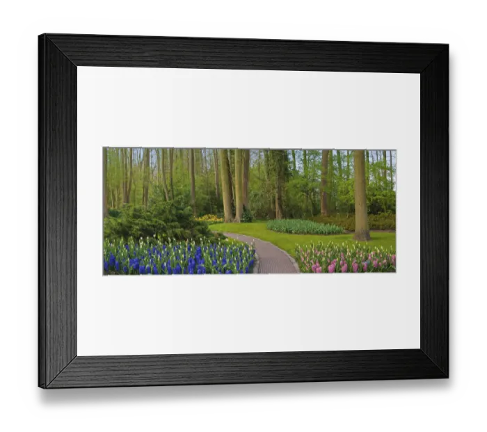 Framed Print : Woodland spring garden
