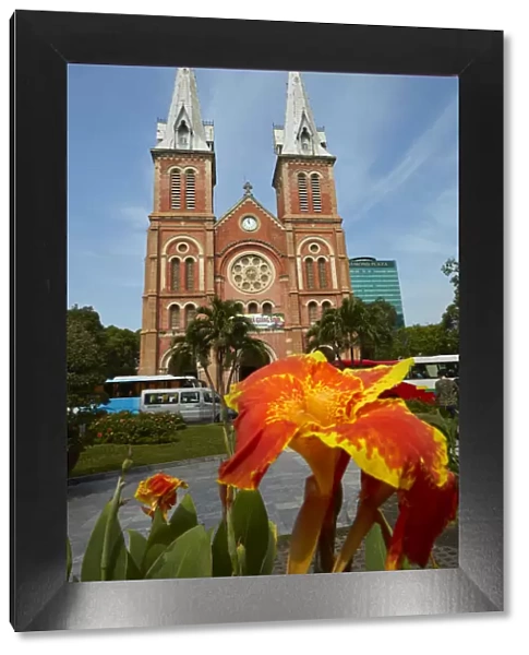Flower and Notre-Dame Cathedral Basilica of Saigon, Ho Chi Minh City (Saigon), Vietnam