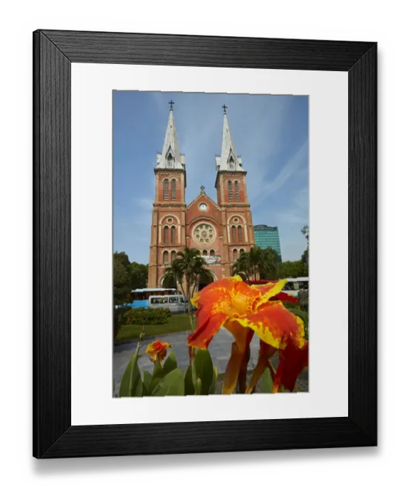 Framed Print : Flower and Notre-Dame Cathedral Basilica of Saigon, Ho Chi Minh City (Saigon), Vietnam Framed Print : Flower and Notre-Dame Cathedral Basilica of Saigon, Ho Chi Minh City (Saigon), Vietnam