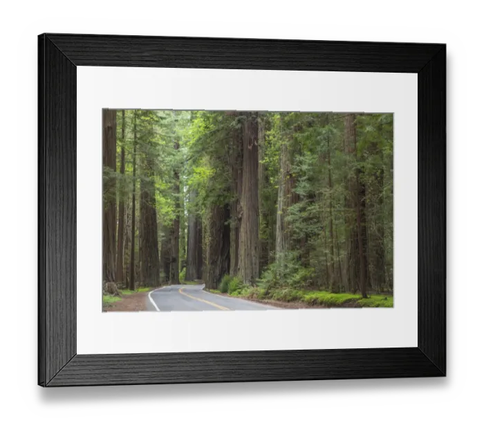 Framed Print : USA, California, Humbodlt Redwoods State Park. Road through redwood forest. Credit as Framed Print : USA, California, Humbodlt Redwoods State Park. Road through redwood forest. Credit as
