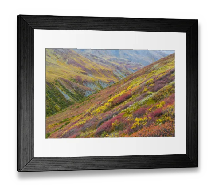 Framed Print : USA, Alaska, Brooks Range. Tundra on mountain landscape Framed Print : USA, Alaska, Brooks Range. Tundra on mountain landscape