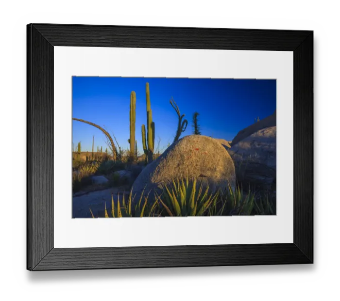 Framed Print : Catavina Desert, Baja California, Mexico Framed Print : Catavina Desert, Baja California, Mexico