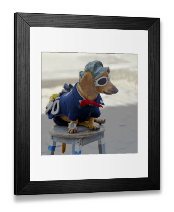 Framed Print : Havana, Habana, Cuba, dog, entertainment, costume, funny, old Havana, cuban, colorful Framed Print : Havana, Habana, Cuba, dog, entertainment, costume, funny, old Havana, cuban, colorful