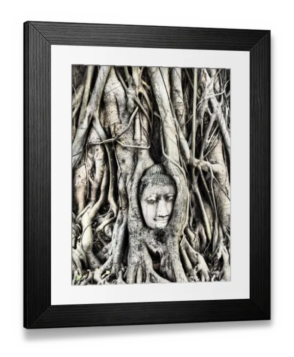 Framed Print : South East Asia, Thailand; Ayutthaya; the head of the sandstone buddha image in roots of bodhi tree Framed Print : South East Asia, Thailand; Ayutthaya; the head of the sandstone buddha image in roots of bodhi tree