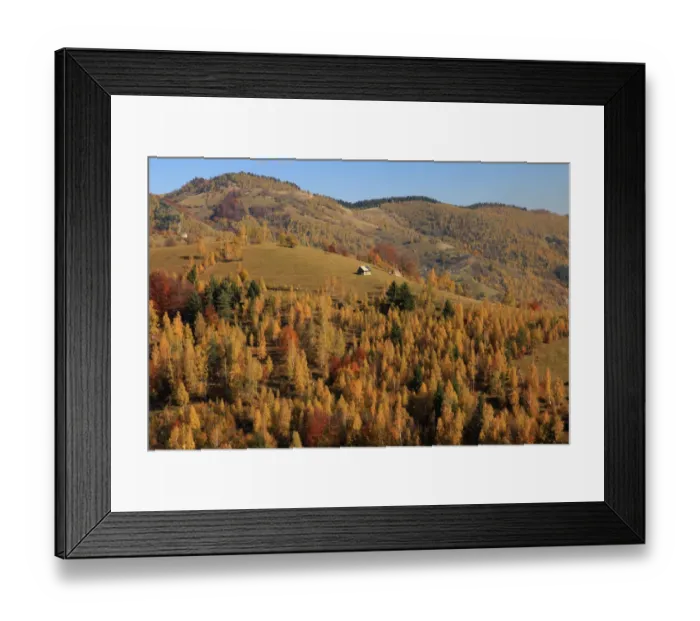 Framed Print : Europe, Romania, Transylvania, Carpathian Mountains, Magura, Piatra Craiului National Park Framed Print : Europe, Romania, Transylvania, Carpathian Mountains, Magura, Piatra Craiului National Park